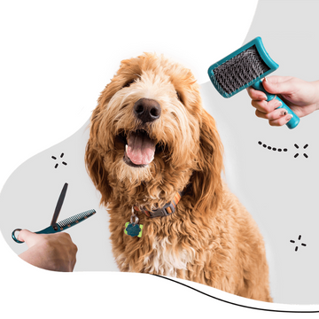 pet grooming services at home