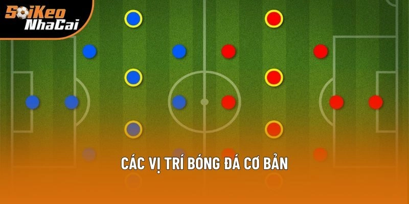 Các vị trí bóng đá cơ bản Các vị trí bóng đá cơ bản